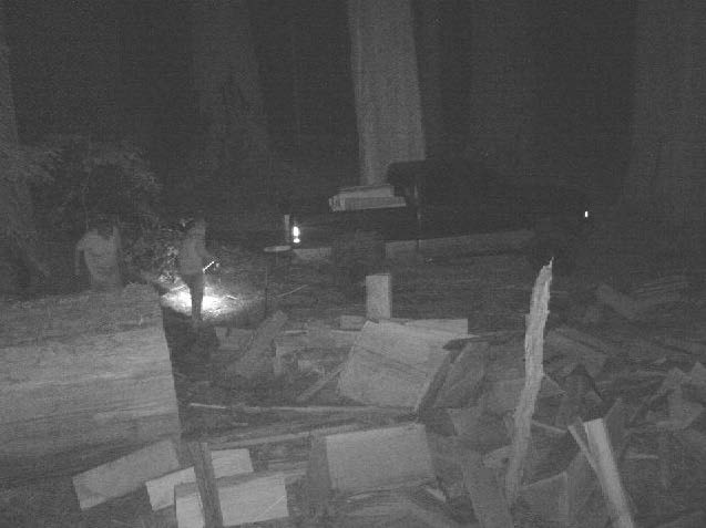 Image captured via remote surveillance shows two suspects loading poached old-growth redwood parts into their vehicle.