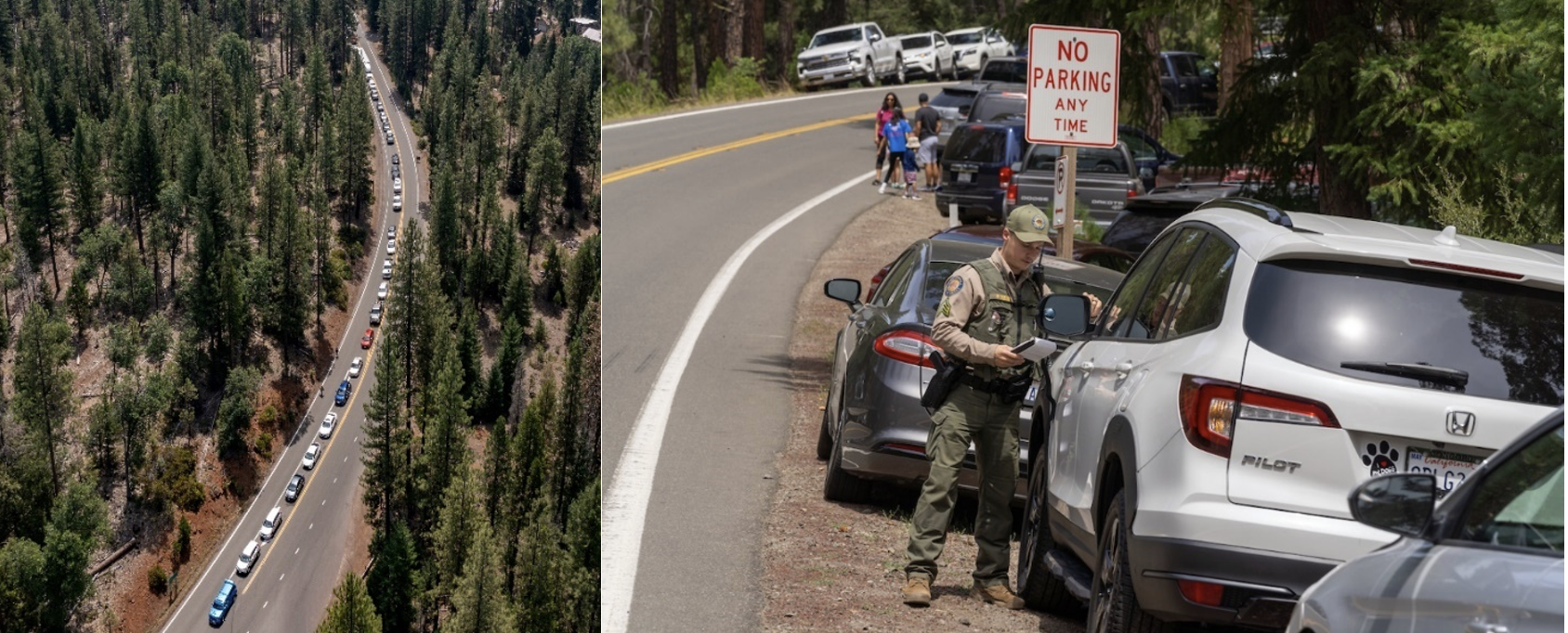 Traffic Enforcement