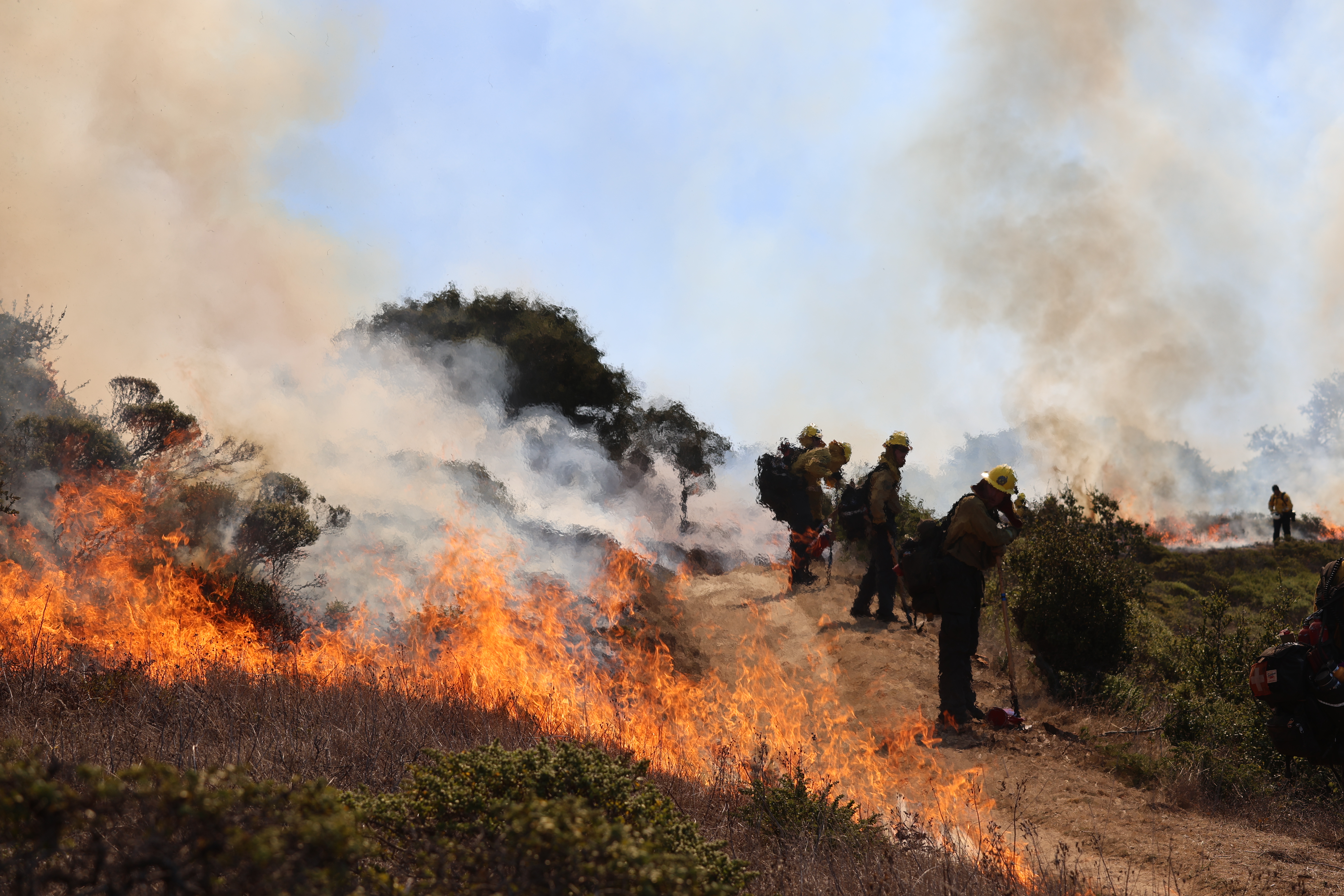 Firefighters Observing Broadcast Burn near Mount Livermore