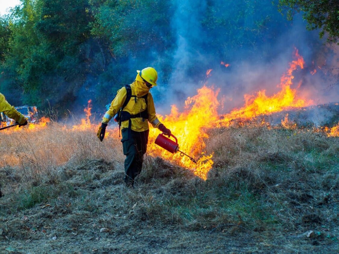 Prescribed Burn Ignitions Prescribed Burn Ignitions