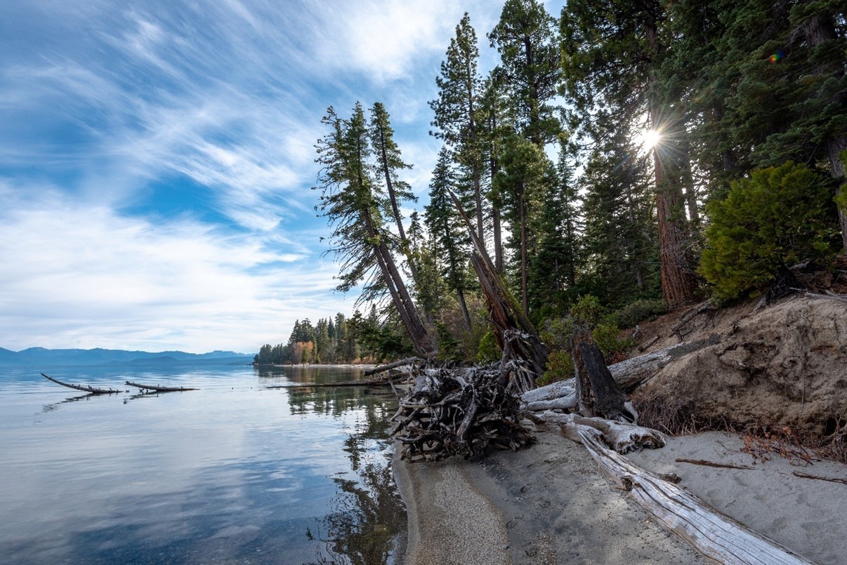 Edwin L. Z&rsquo;berg Natural Preserve. Photo from California State Parks.