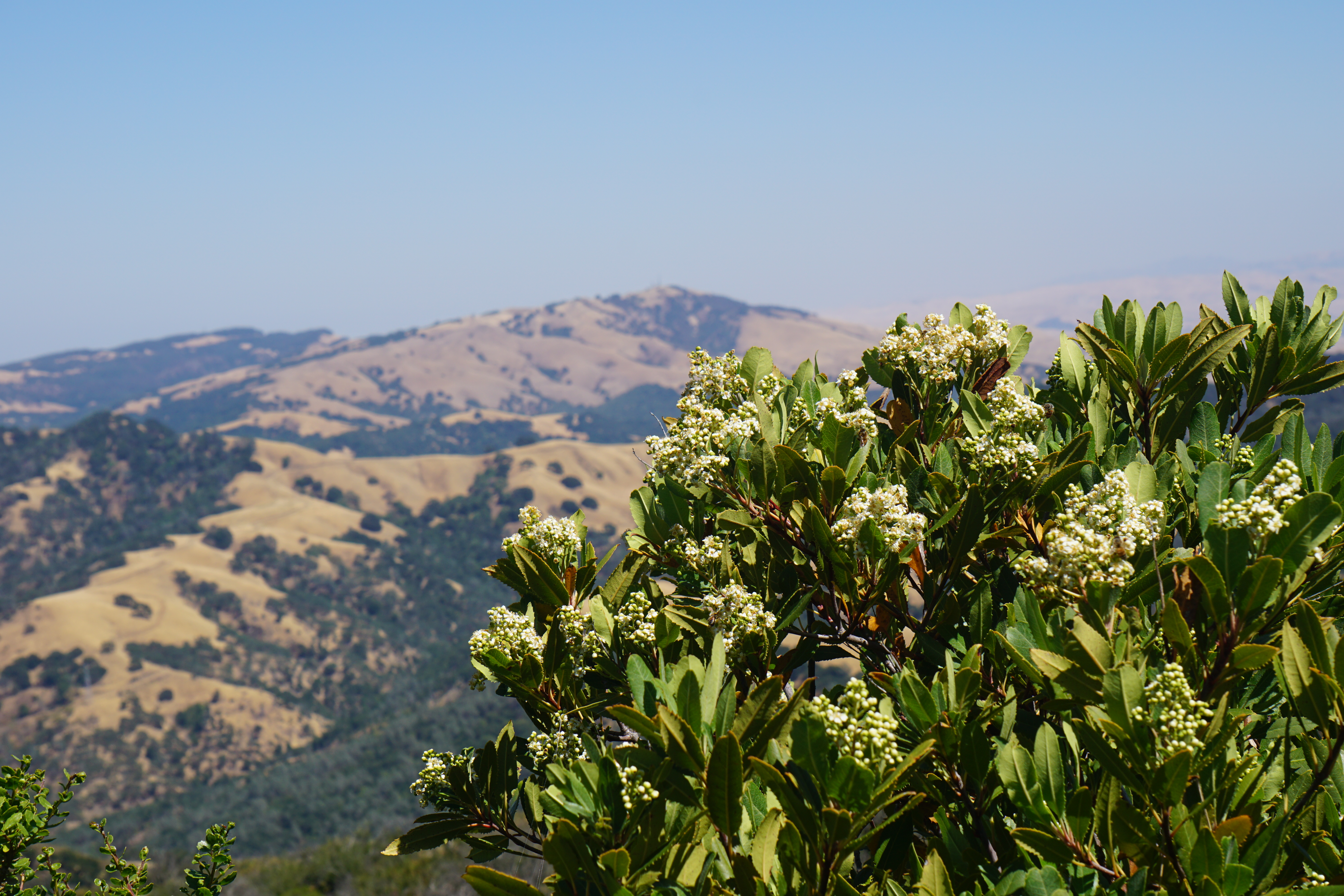 view from Mount Diablo