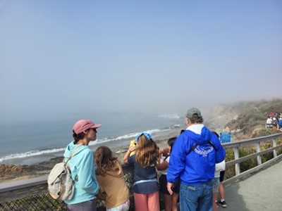 Viewing Ocean