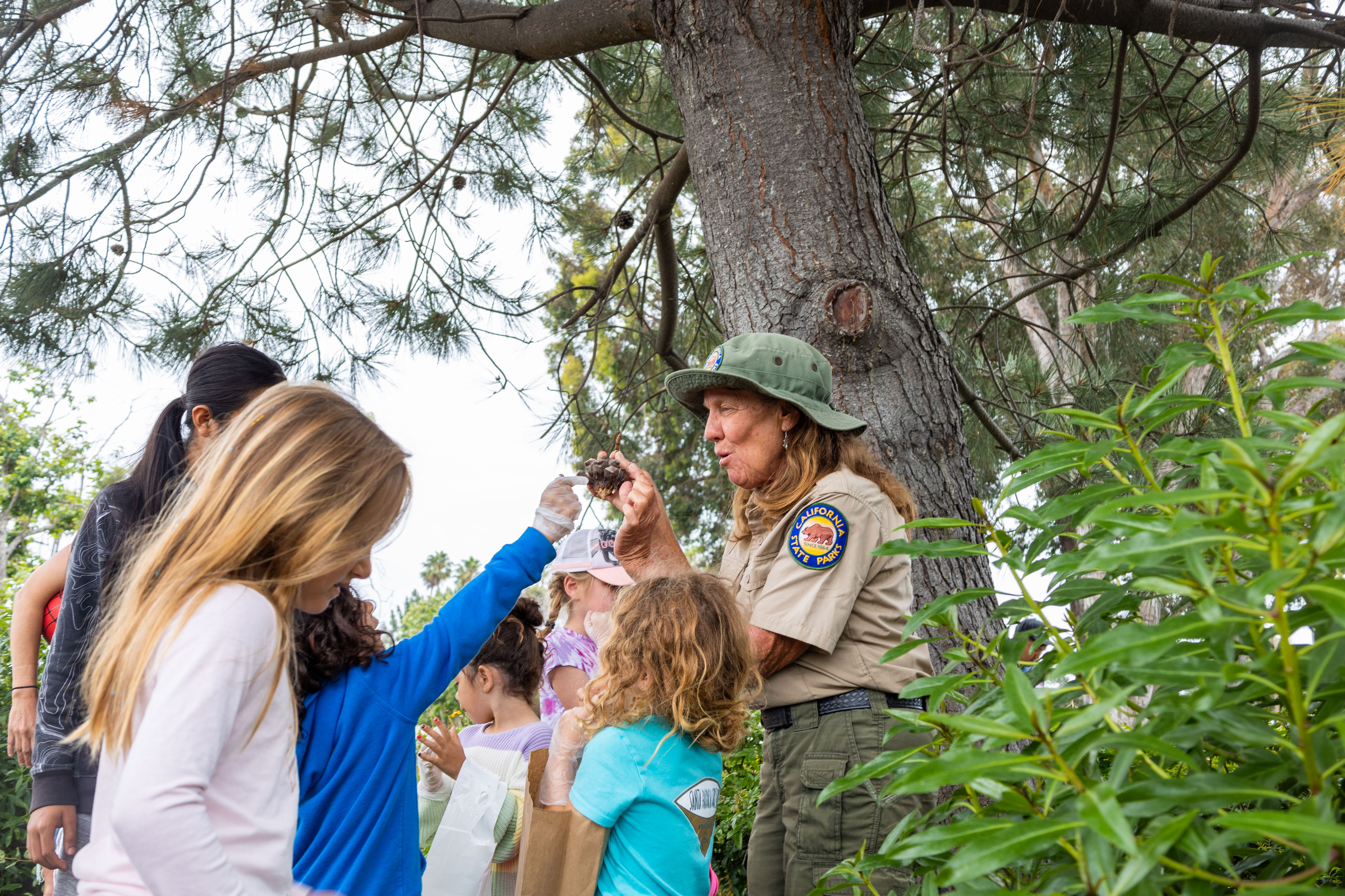 Staff showing a group of kids a fallen confier cone