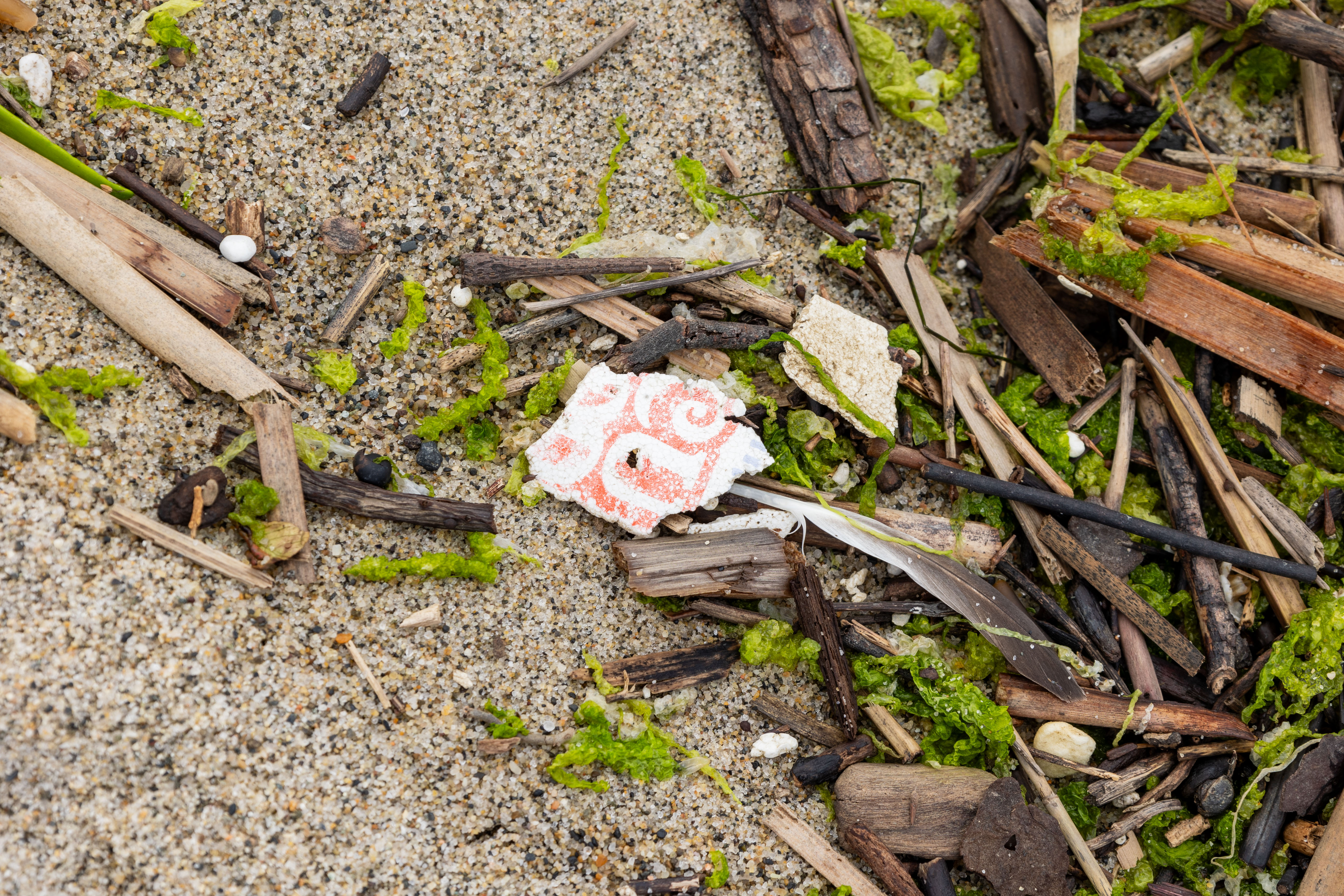 Styrofoam Trash in the Sand