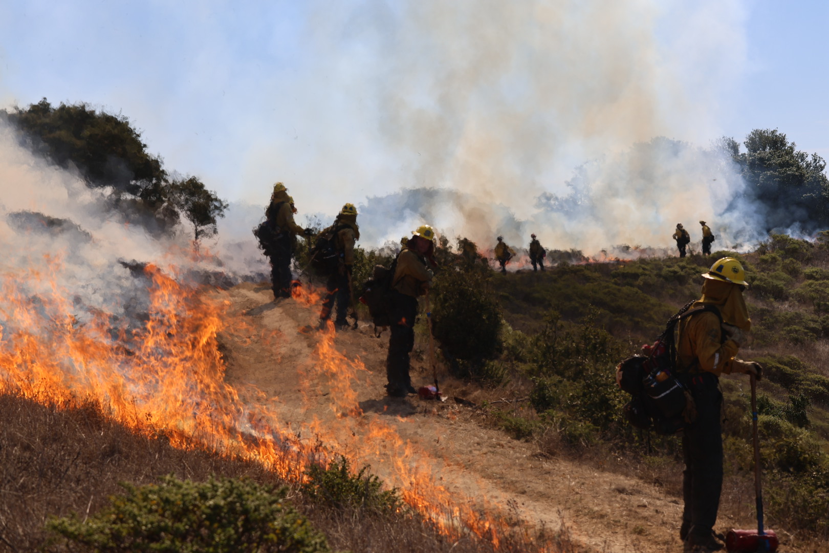 Firefighters monitor Prescribed Burn on Angel Island