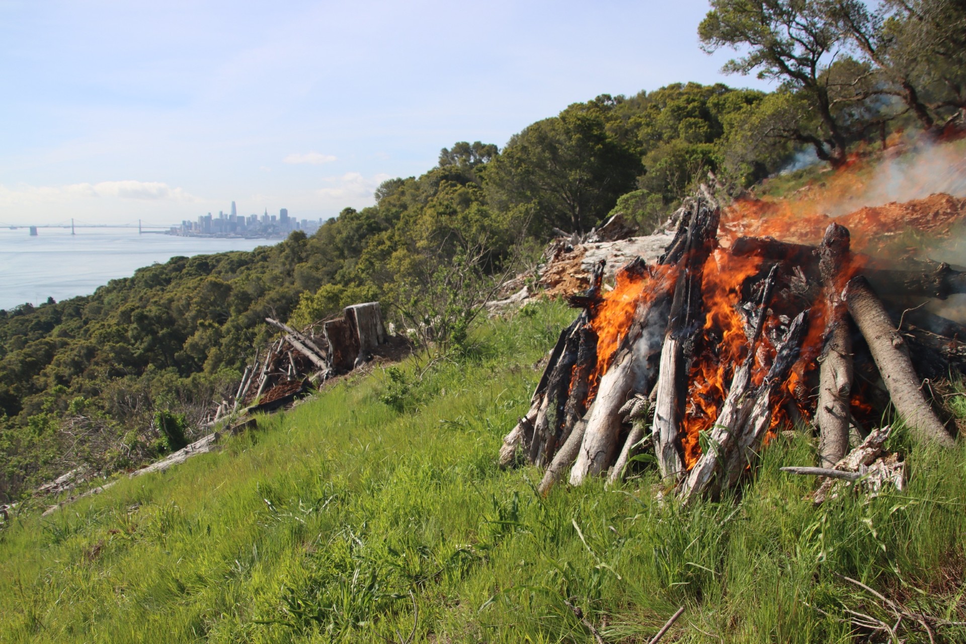 2022 Prescribed Broadcast Burn in Jack London SHP