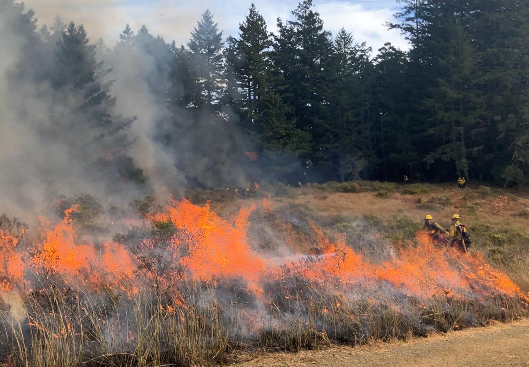 2022 Prescribed Broadcast Burn in Jack London SHP
