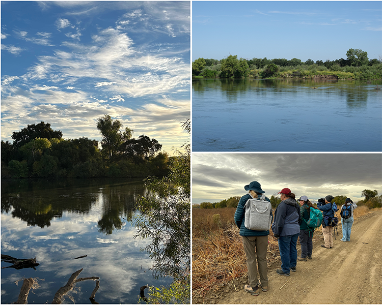 Top left: scenic view of the pond at Dos Rios; Top right: view of the Tuolumne River from the new Tuolumne River Trail at Dos Rios; Bottom right: Visitors learning from the trail guide along the Confluence Trail. Photos from California State Parks.