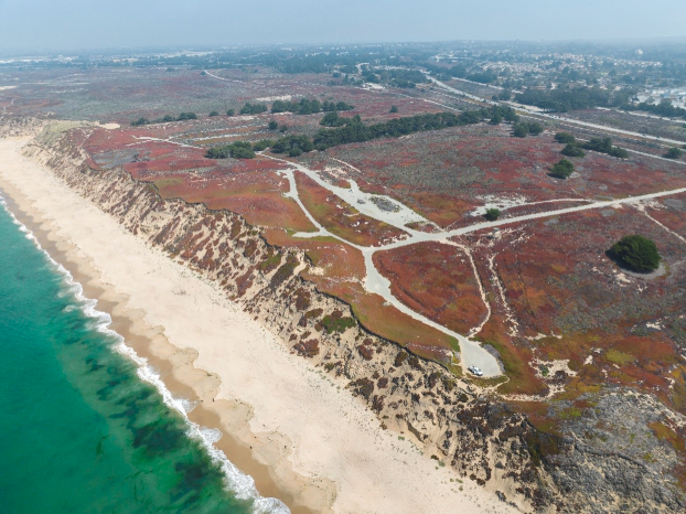 Project location at Fort Ord Dunes State Park. Photo from Design Workshop