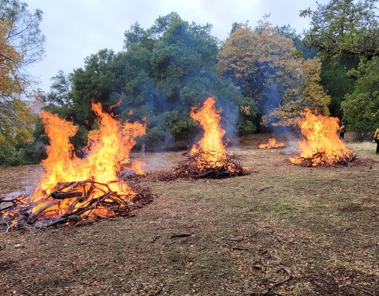 Pile burns help reduce wildfire risk, support the park&rsquo;s native plants and wildlife, and protect nearby communities. Photo from California State Parks.