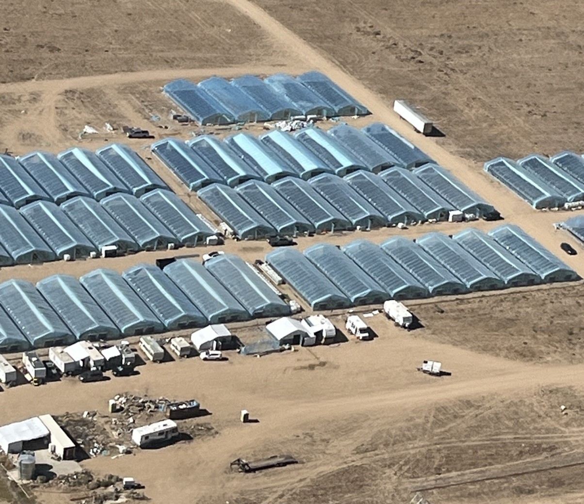 Illegal Cannabis Operation in Los Angeles County