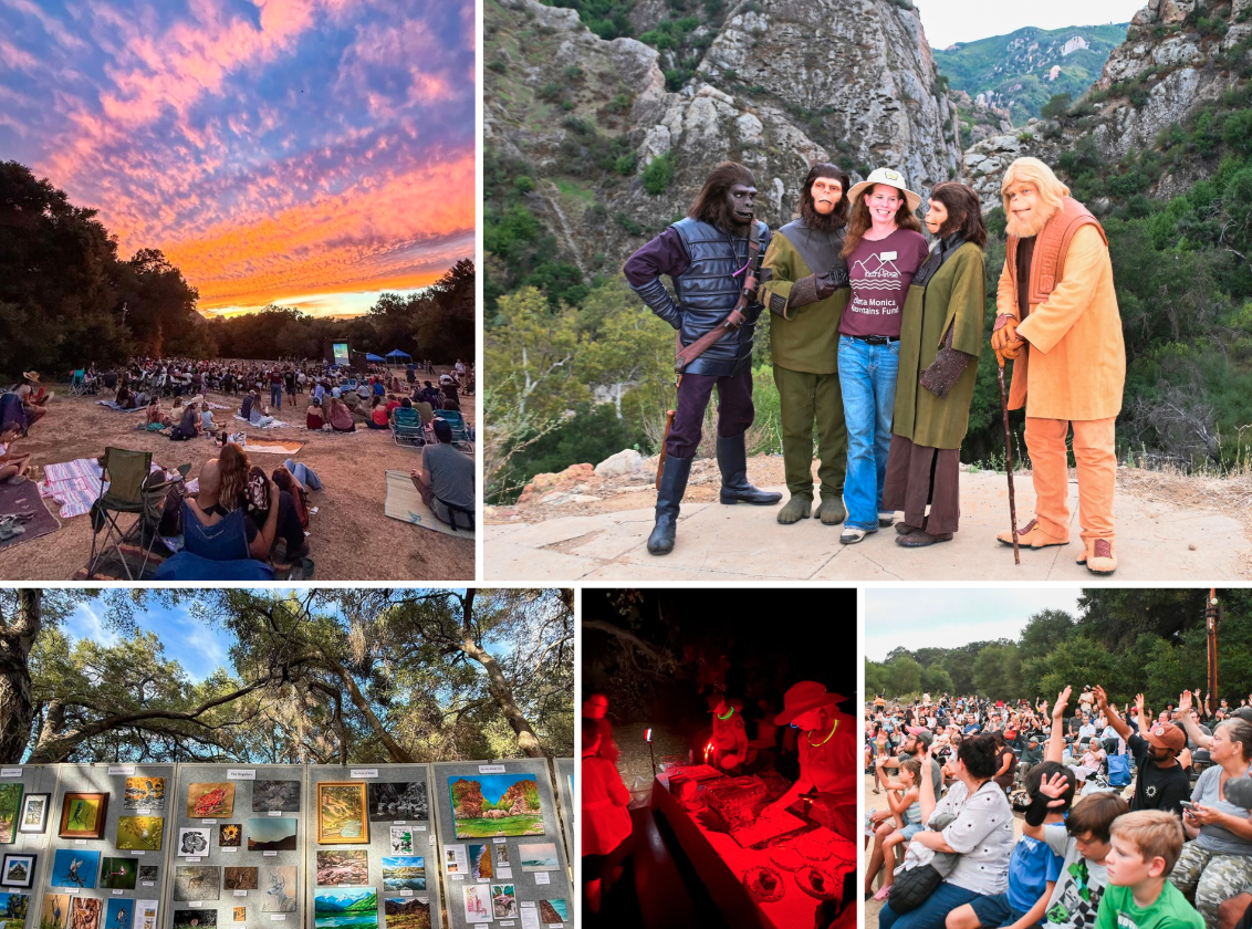 Malibu 50th Anniversary Collage
