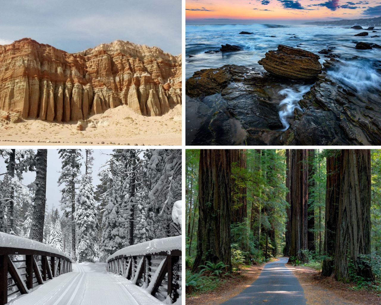 Top photos: Spectacular rock formation at Red Rock Cayon State Park (SP) and the pristine Pacific Ocean seen at Crystal Cove SP. Bottom photos: enjoy a winter wonderland at Ed Z&rsquo;berg Sugar Pine Point SP and walk among the giants at Humboldt Redwoods SP.
