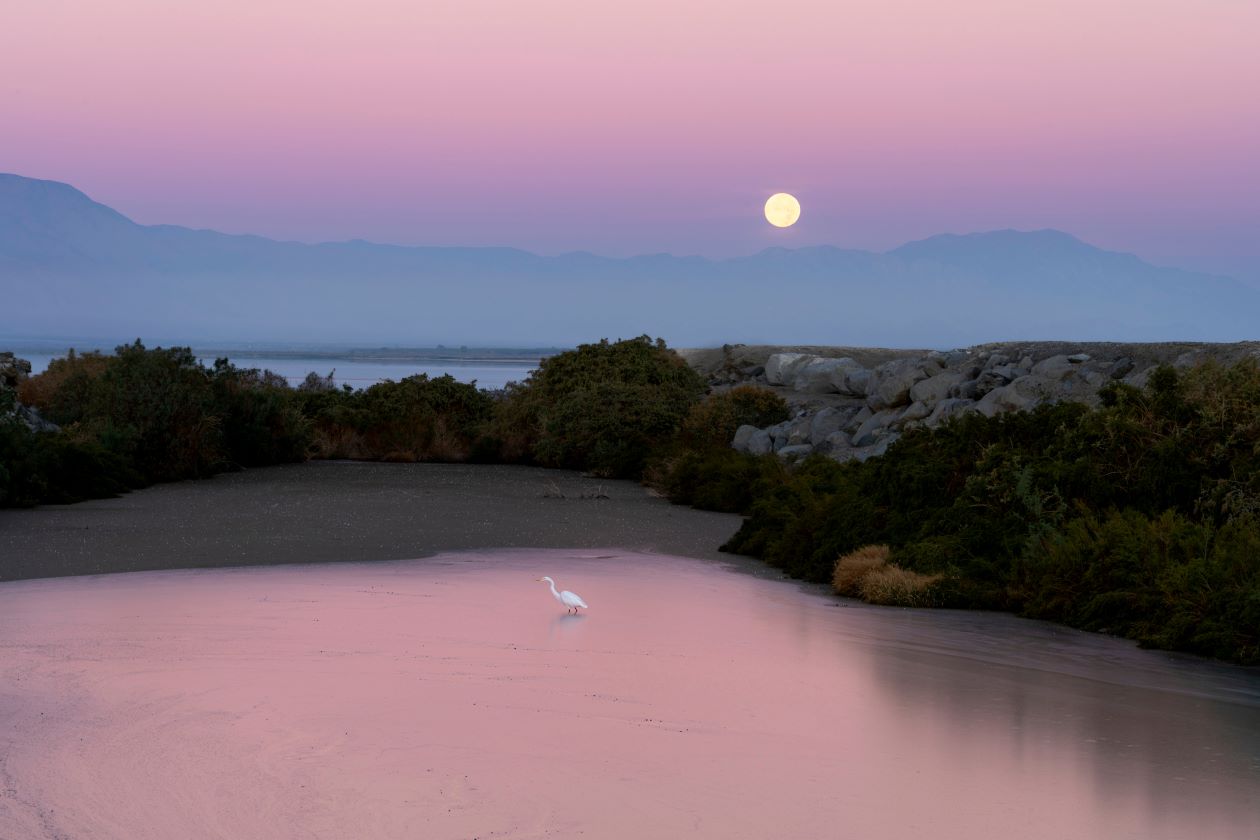 Salton Sea SRA