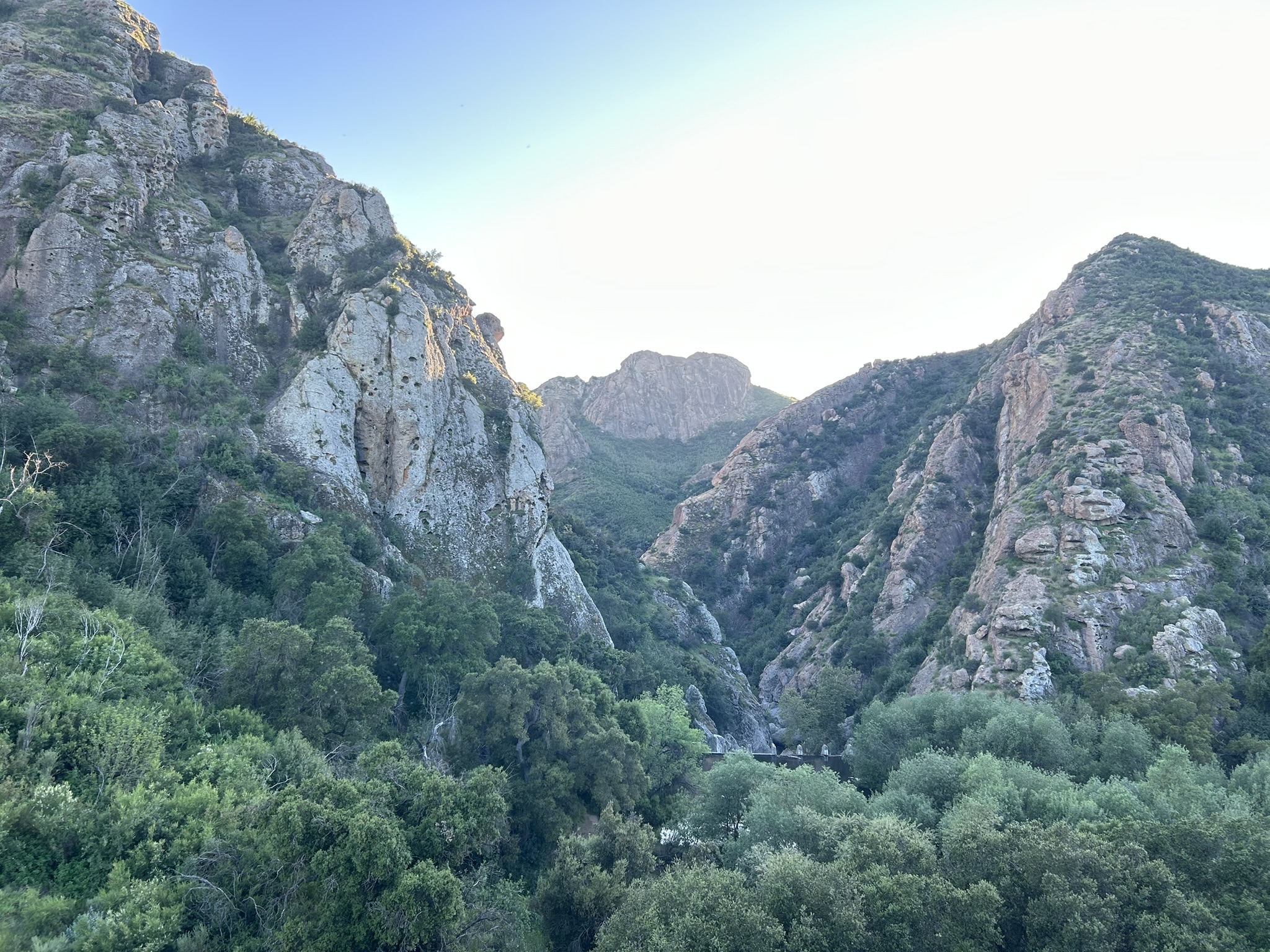 Santa Monica Mountains at Malibu Creek State Park. Photo from California State Parks.